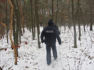 Policjanci patrolujący teren leśny