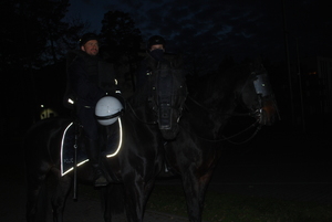 Policjanci zabezpieczający mecz