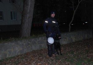 Policjanci zabezpieczający mecz