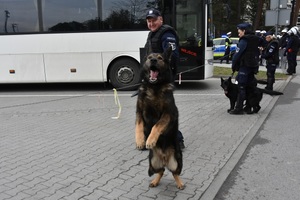 Policjanci podczas zabezpieczenia meczu
